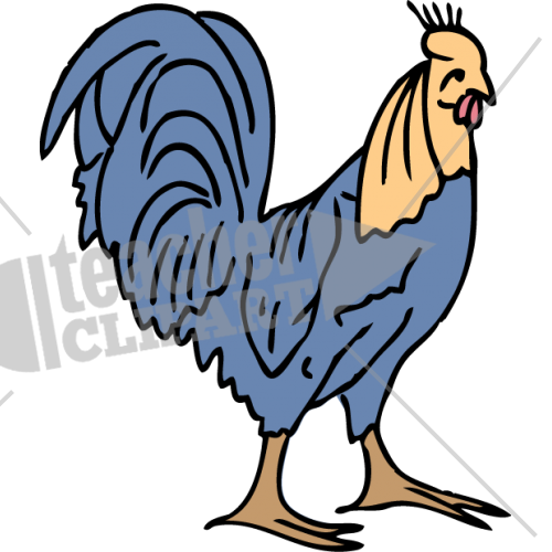 Rooster Colour - - Rooster (500x500)