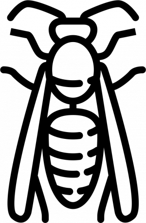 Wasp Coloring Benefit - Wasp (300x456)