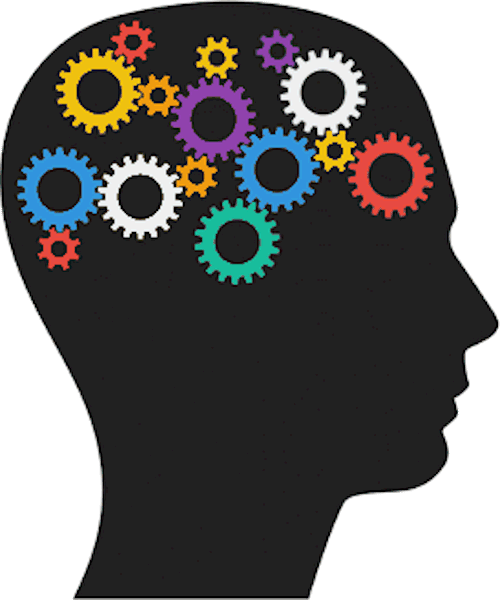 Jan Wright Gqhp - Your Child Learns Best: Brain-friendly Strategies You (500x600)