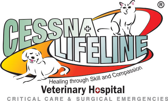 Contact Us - Clinic (535x323)