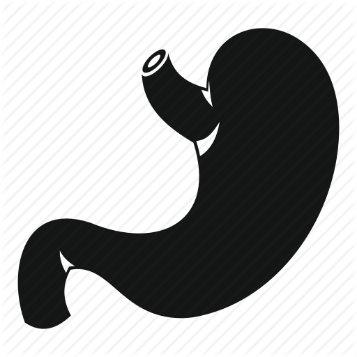 Digestive System Png Icon (512x512)