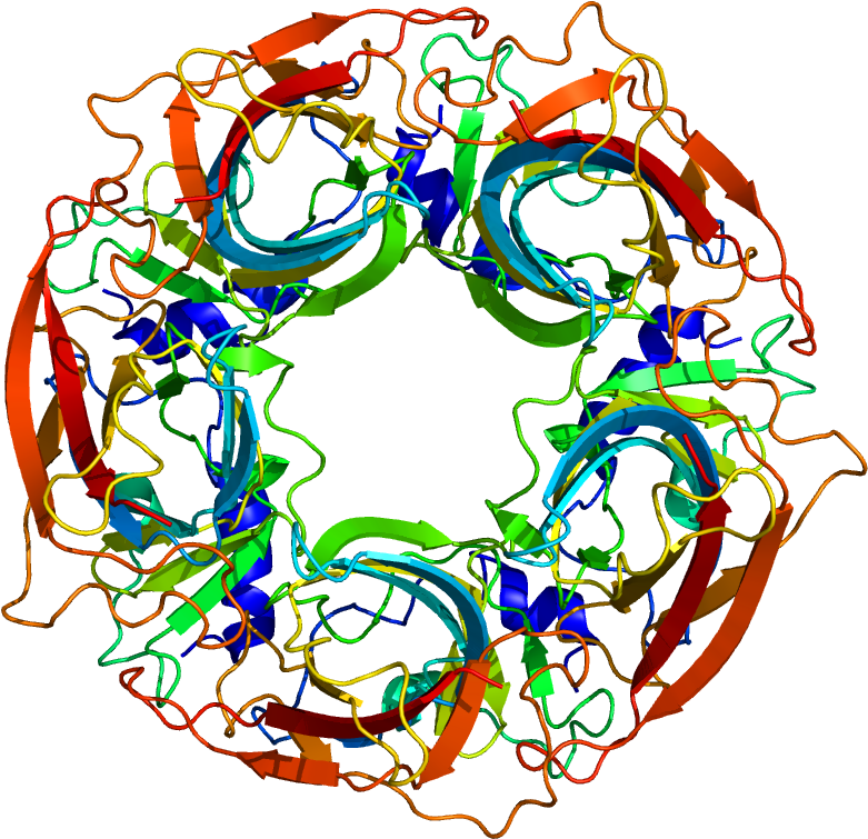Circle (1200x1000)