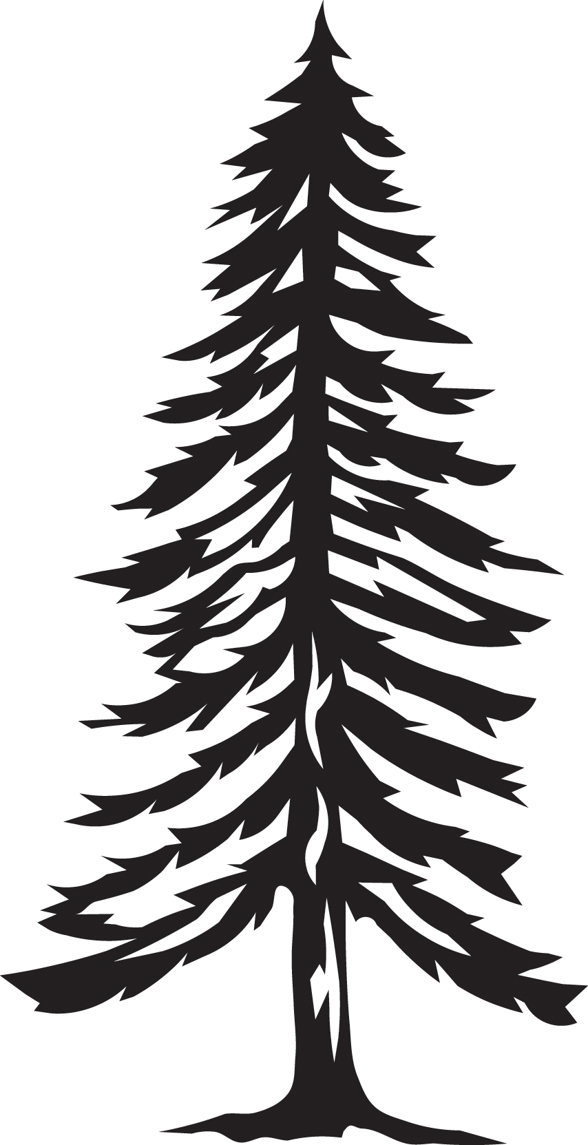 33 - Spruce (854x1663)