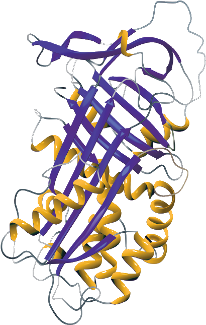 Alpha-1 Molecule - Alpha-1 Molecule (451x687)