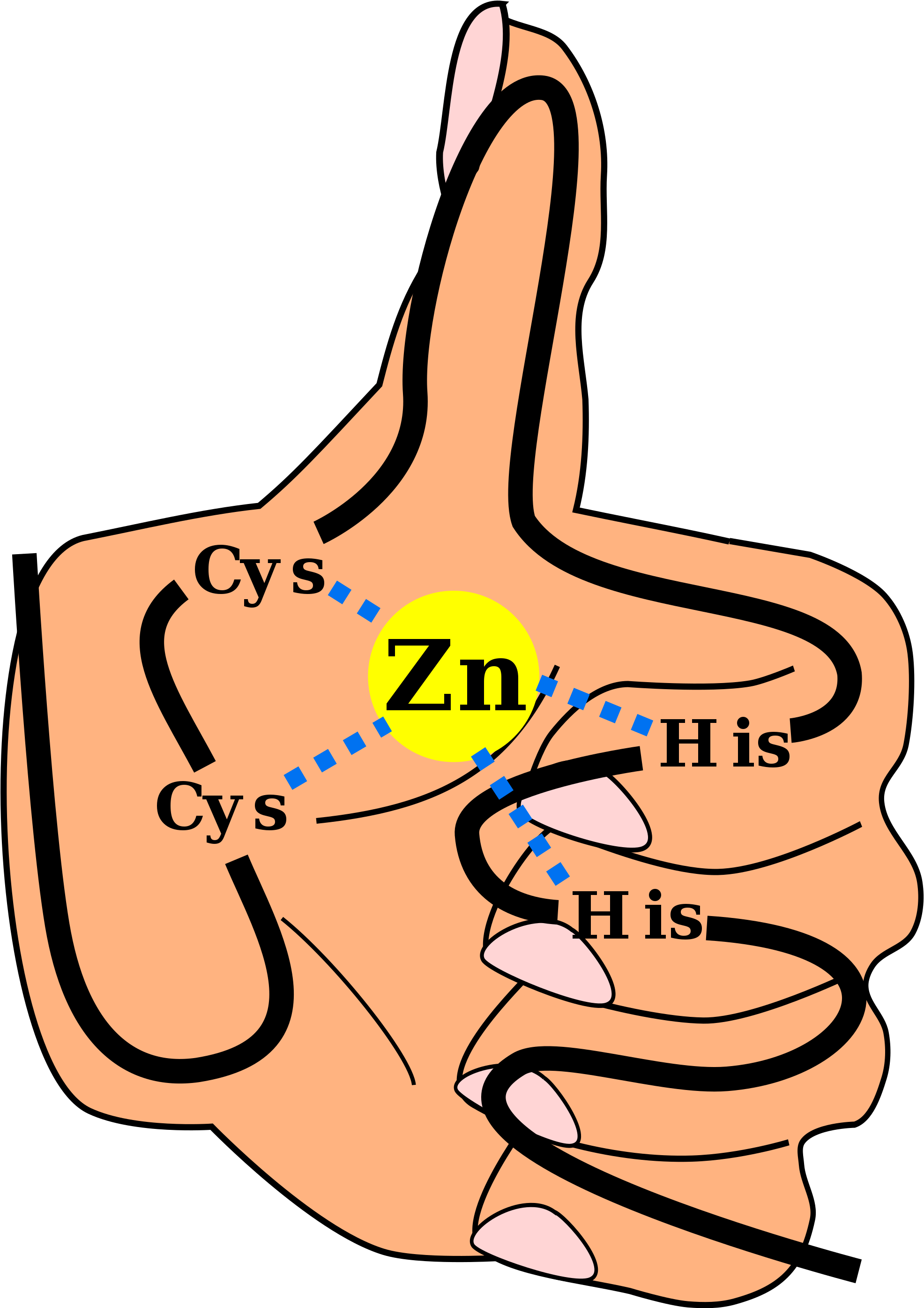 Open - Zinc Finger (2000x2789)