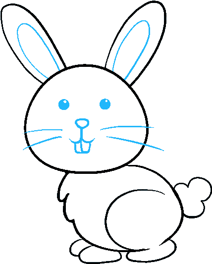 Transparent Countour Drawing Rabbit - Bunny Drawing (678x600)