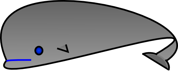 Balin Fish (600x241)