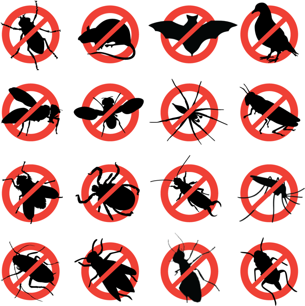 Pest Control (1024x1024)