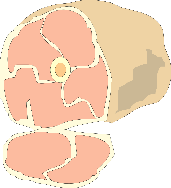 Meat 01 Free Vector - Clip Art (727x800)