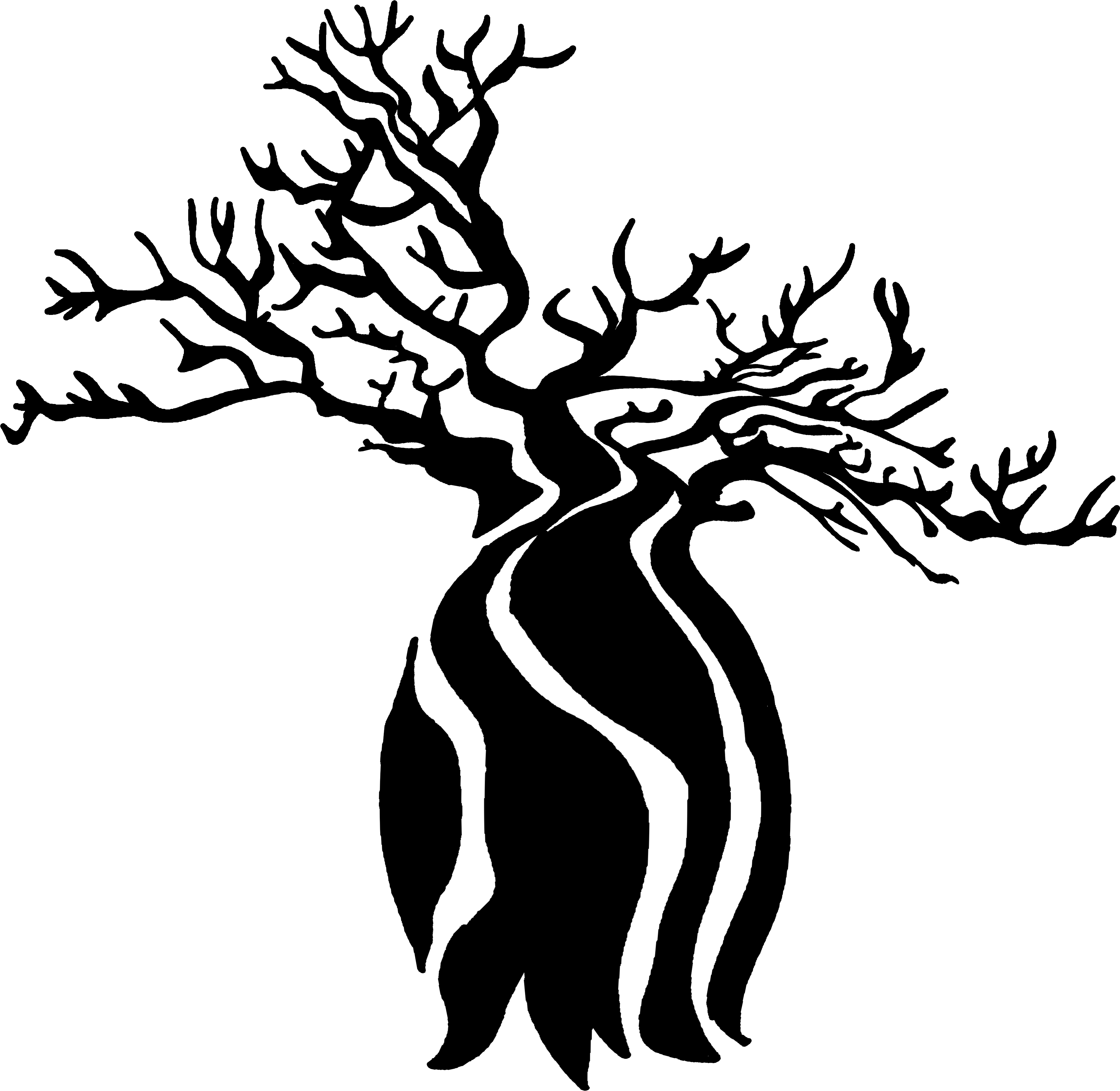 Banner Library Stock Amazon Drawing Tree - Bottle Tree Drawing (4800x4800)