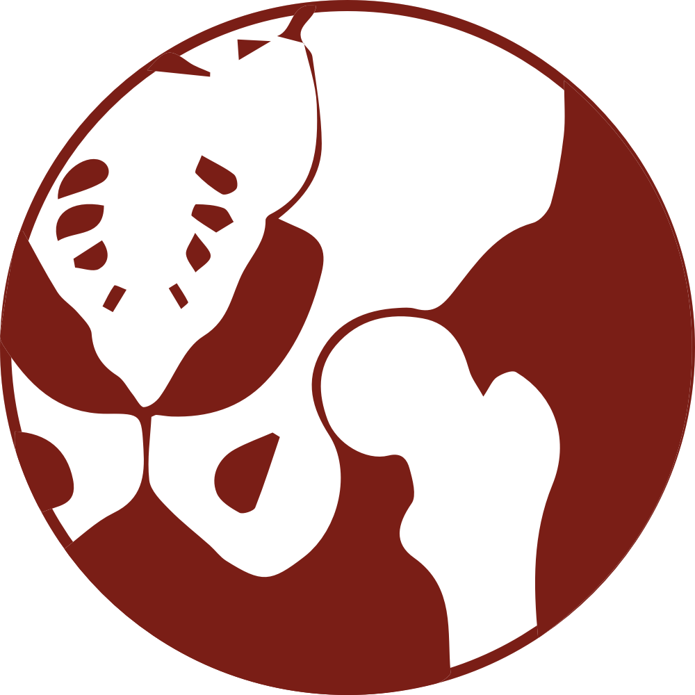 Hip Surgery - Hip (1000x1000)