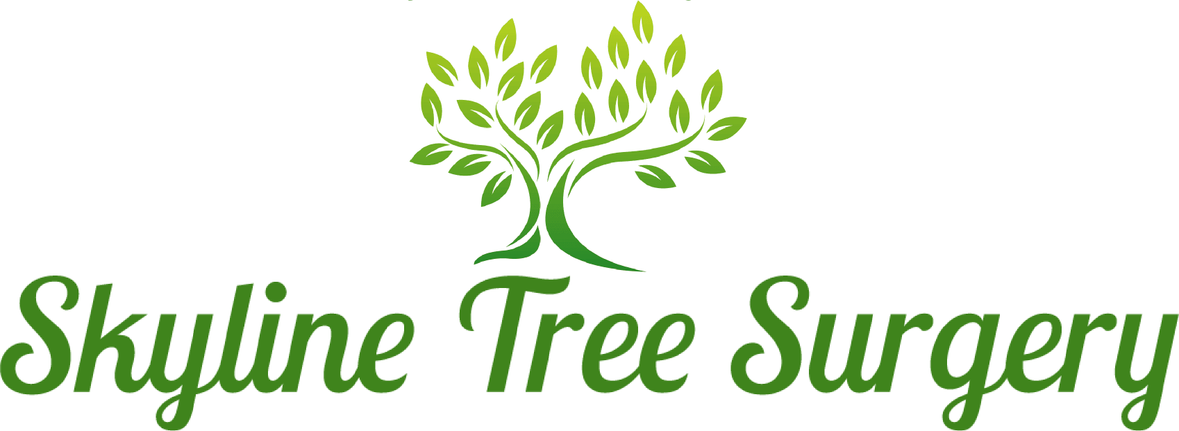 Skyline Tree Surgery (1698x621)