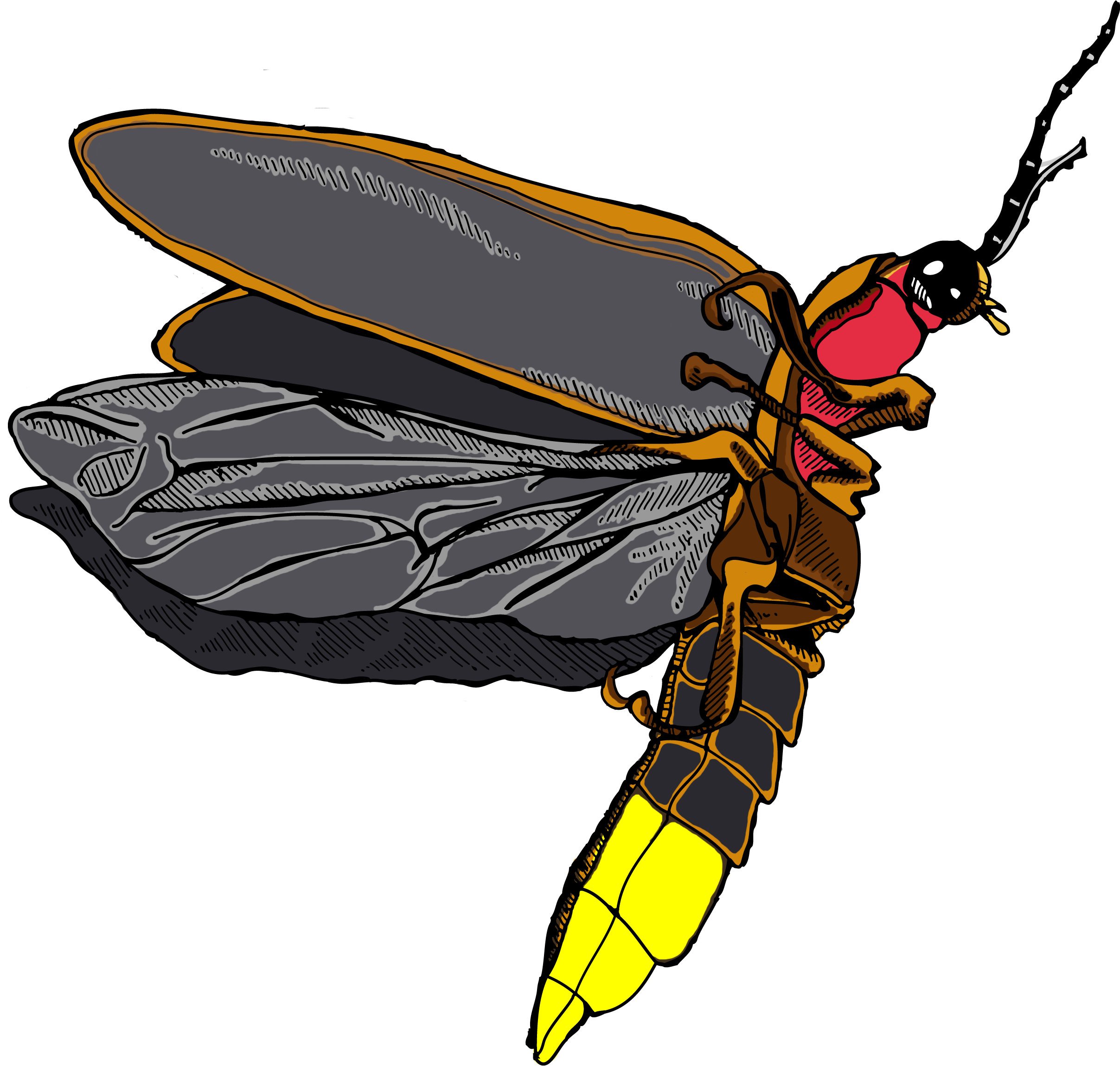 Firefly Icon Clipart - Portable Network Graphics (2550x2550)