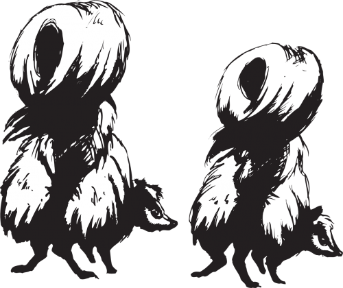 Skunks Animals Back Defense - Skunks Clipart (500x420)