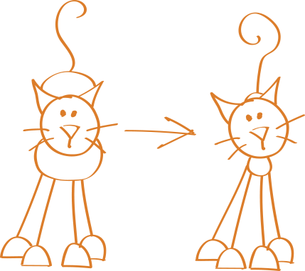 Weight Loss ~ Cats - Cat (429x382)