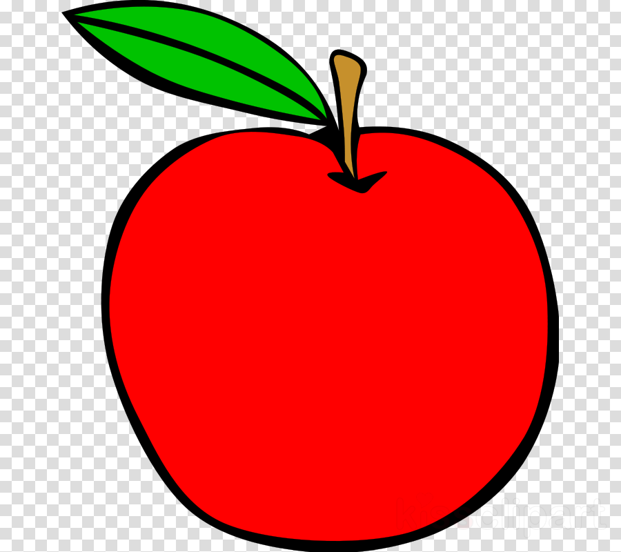 Record With No Background (900x800)