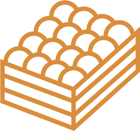 Citrus Display Icon - Bird (504x504)