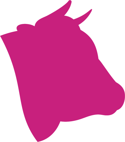 Beef - Beef (424x480)