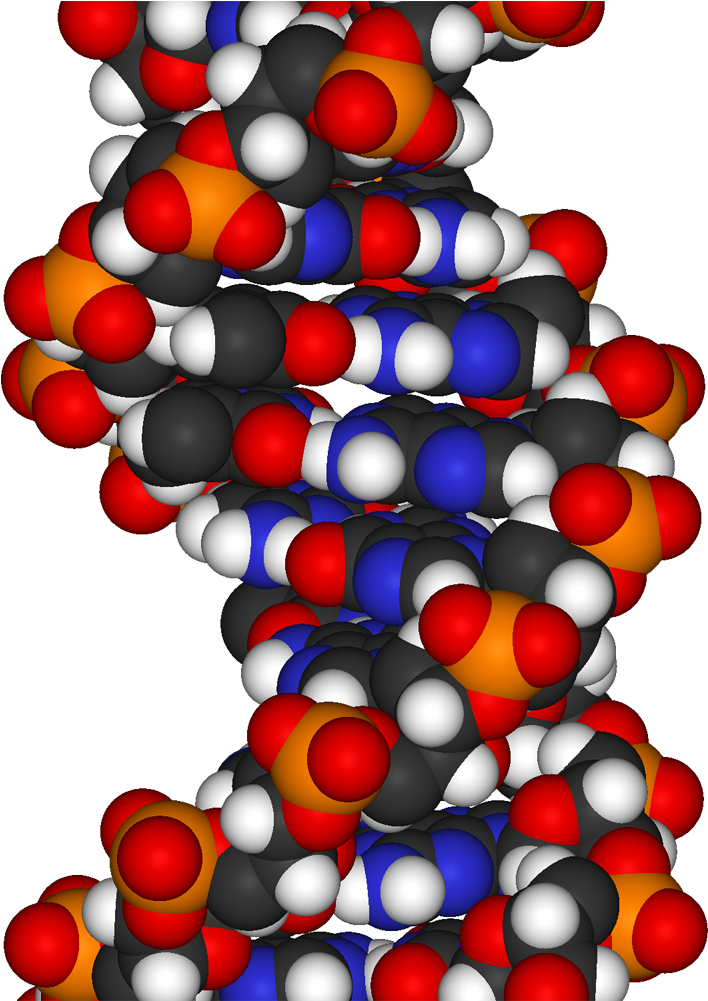Dna - Encyclopedia Of Bioscience, Technology And Engineering (907x1000)