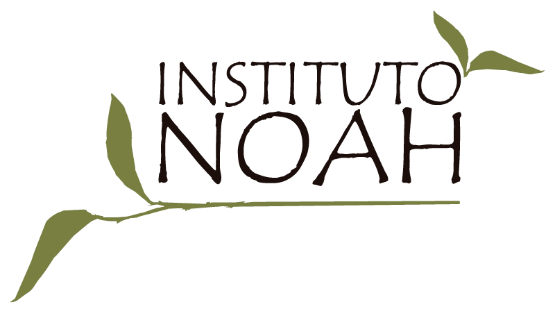 Instituto Noah - Illustration (800x445)