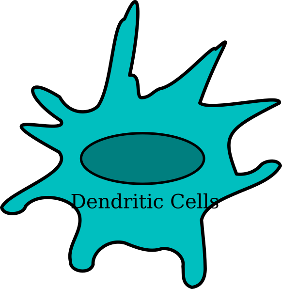 Antigen Clip Art (582x596)