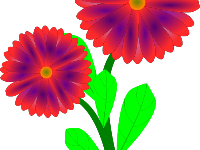 Original - Original (640x480)