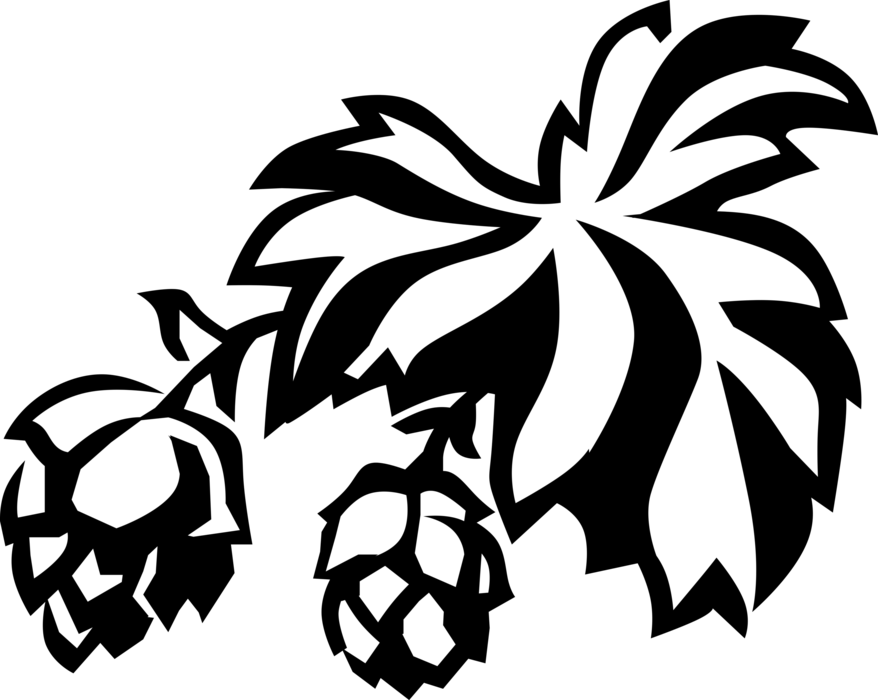 Flavoring And Stability Agent - Hops Clipart (878x700)