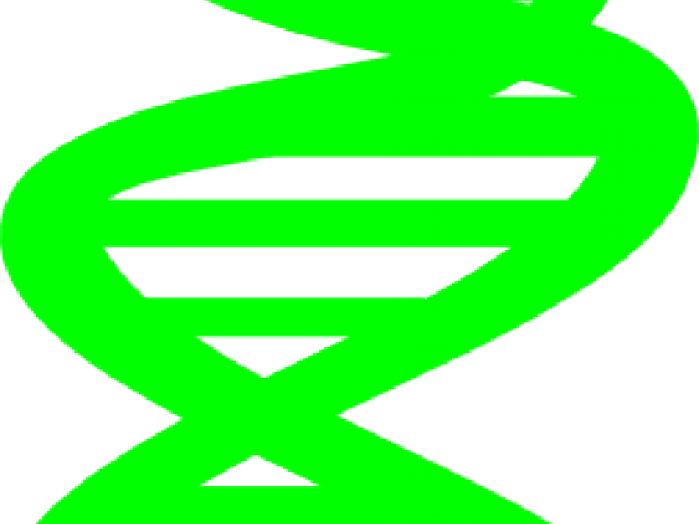 Code Clipart Dna - Code Clipart Dna (640x480)