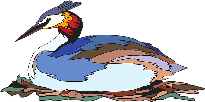 Bird, Grebe, Crested, Colors, Nesting - Grebes (680x340)