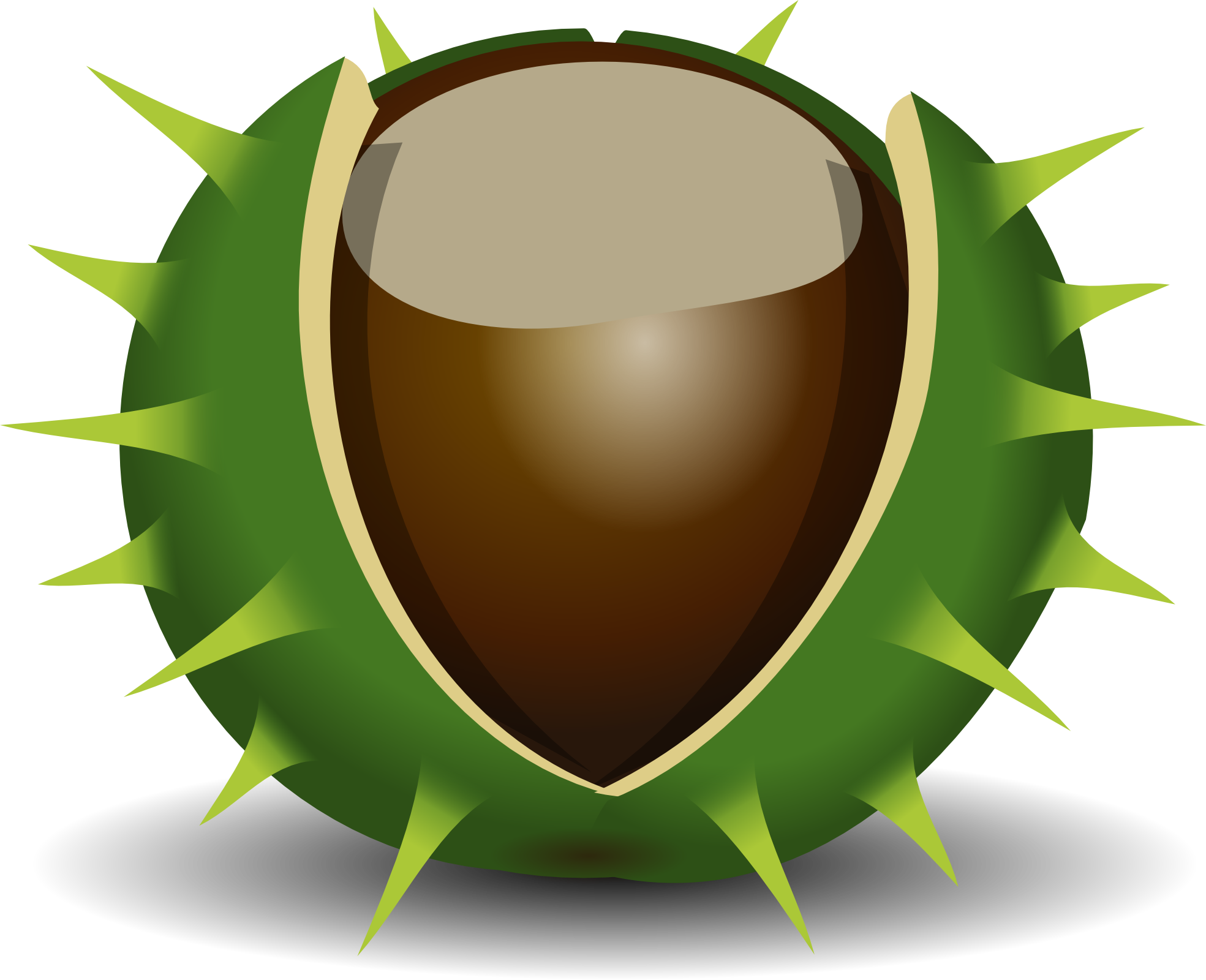 Free Chestnut - Chestnut (1969x1600)