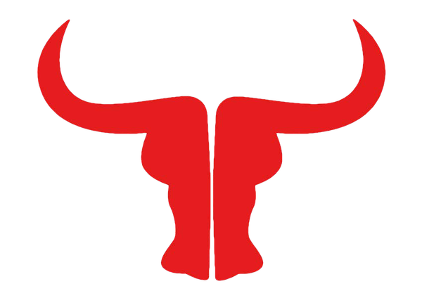 Since - Icon Design (600x424)