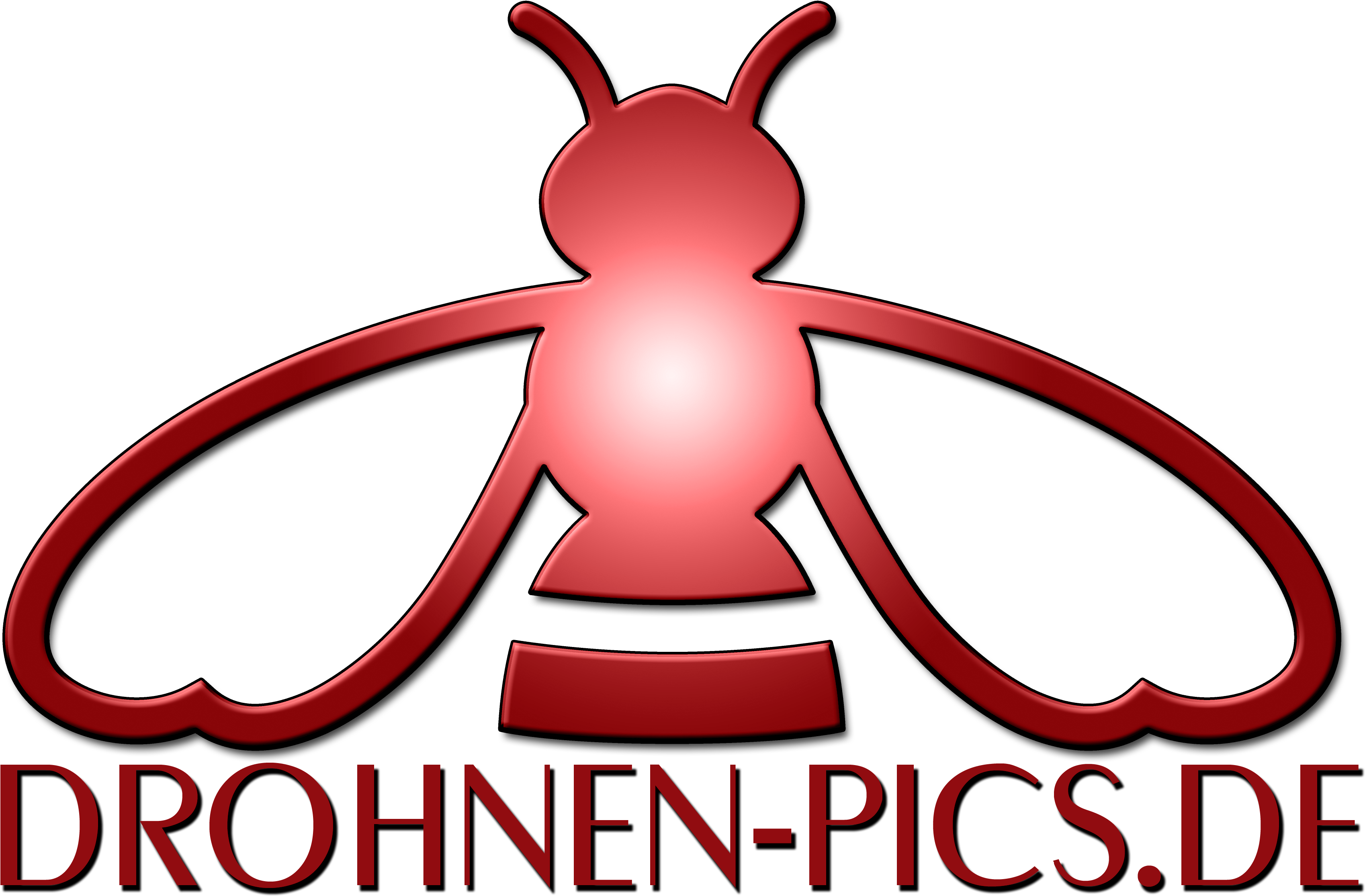 Premium Drohnenfotos Zum Fairen Preis - Honey Bee Clipart Black And White (4000x2666)