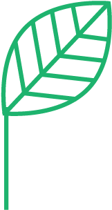 Explore - Spidernet Outline (532x588)