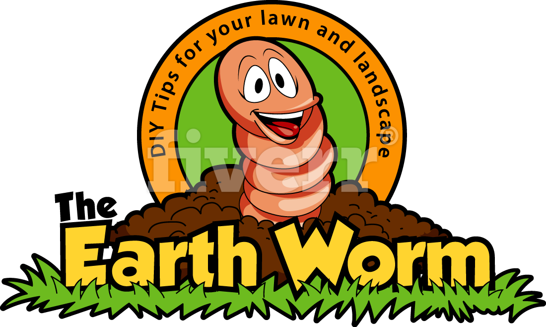 Lawn Care Tips - Yellow Nutsedge (1100x658)