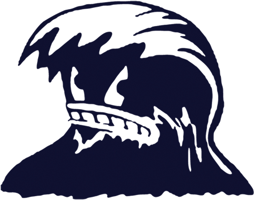 Harrisonhigh School - Harrison High School Blue Tide (916x734)