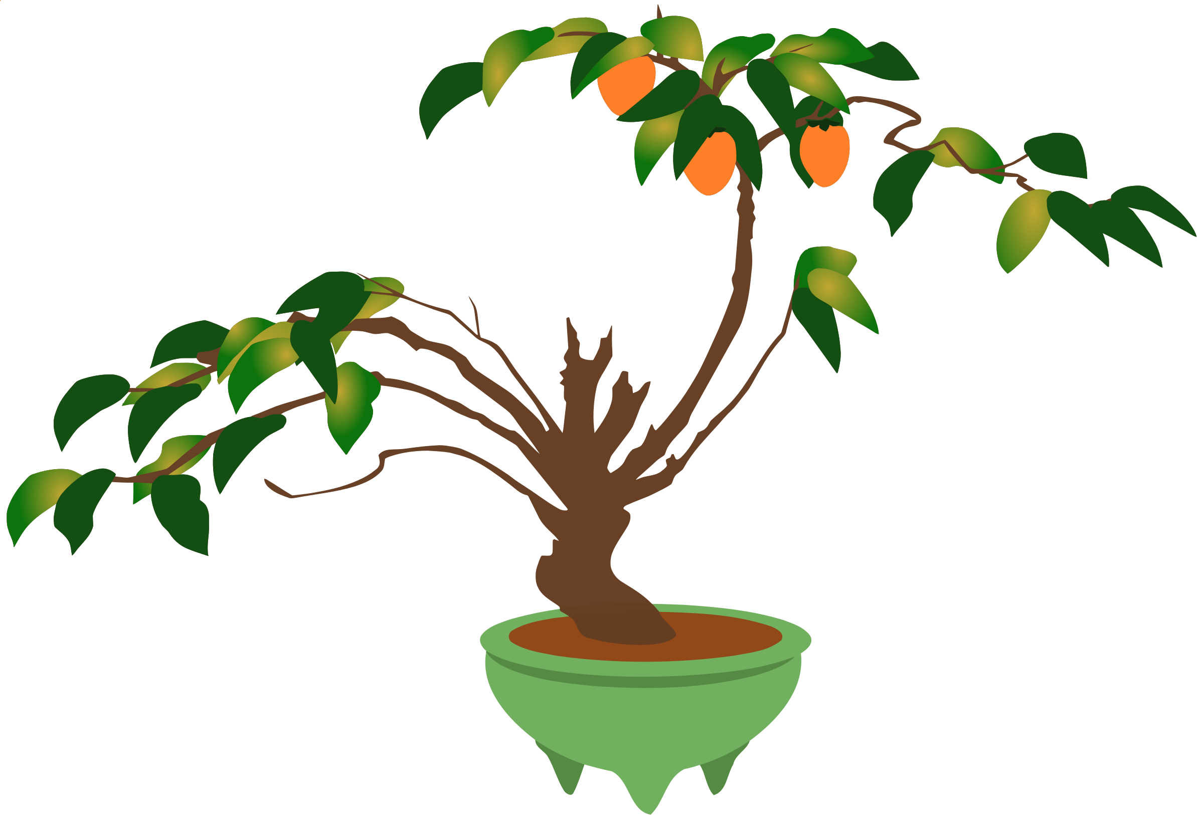 Big Image - Bonsai (2387x1626)