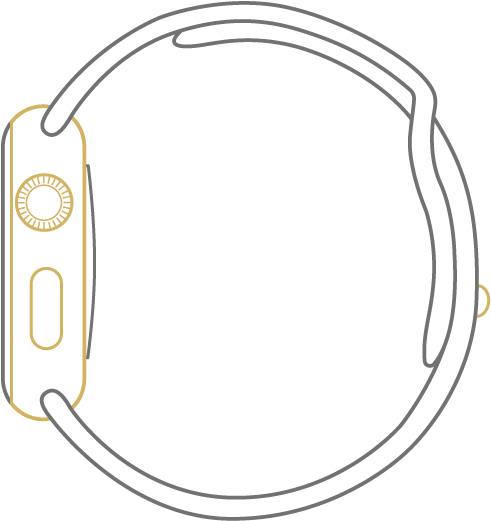 Vector Download Iphone - Apple Watch Line Drawing (495x527)