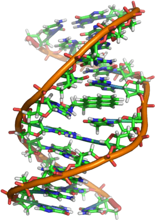 Damage - Familial Dna Searching (320x443)