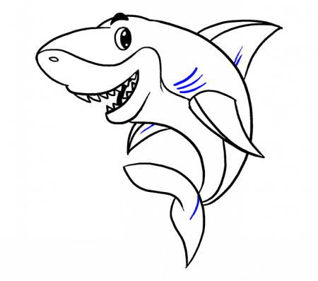 Drawing Shark - Drawing (450x398)