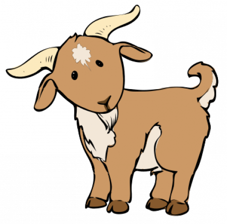 Drawing Sheep - Cartoon Goat (450x445)