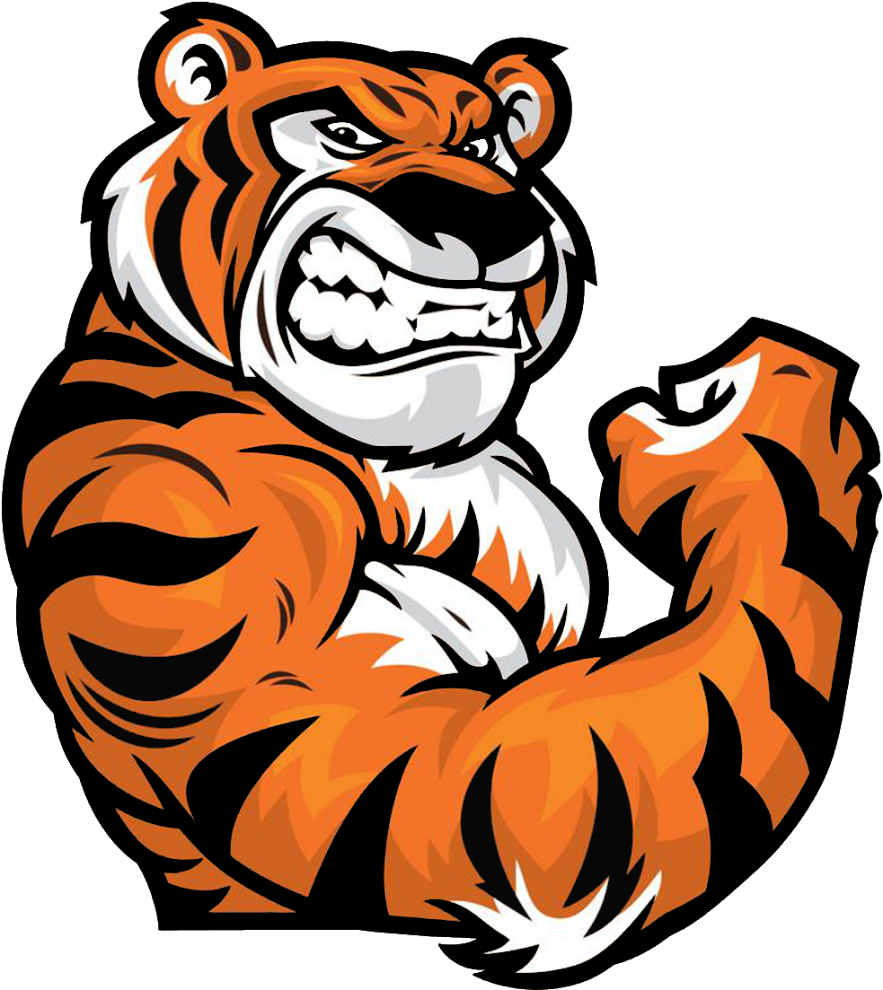 Cartoon Tigers (983x1103)