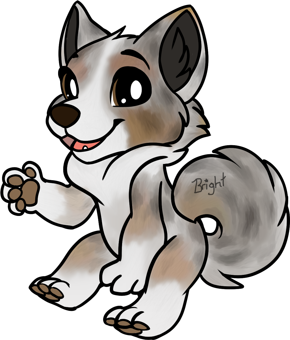 Australian Shepherd - Australian Shepherd (1350x1350)