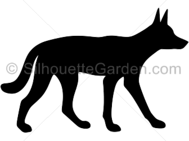 Dingo Silhouette (640x480)