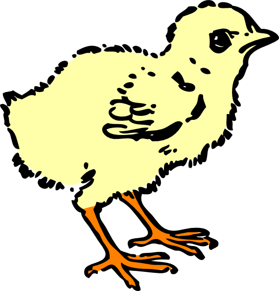Chick Cartoon Black And White (570x595)