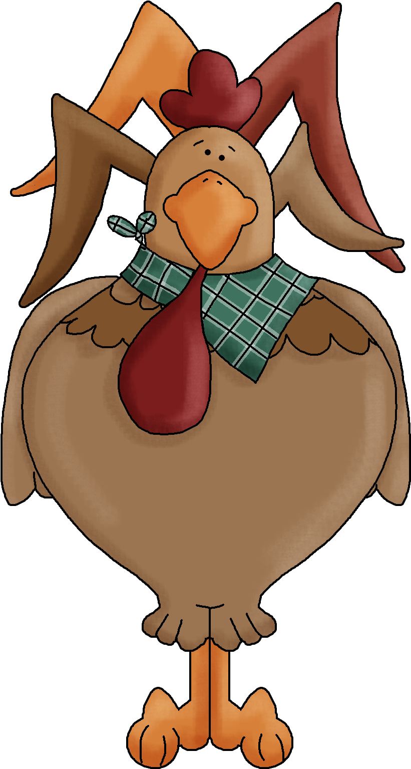 Rooster - Turkey (900x1604)