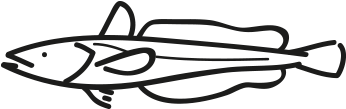 Cape Hake - Line Art (452x427)