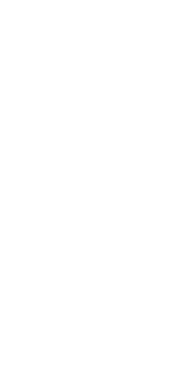 Experience - Experience (268x559)