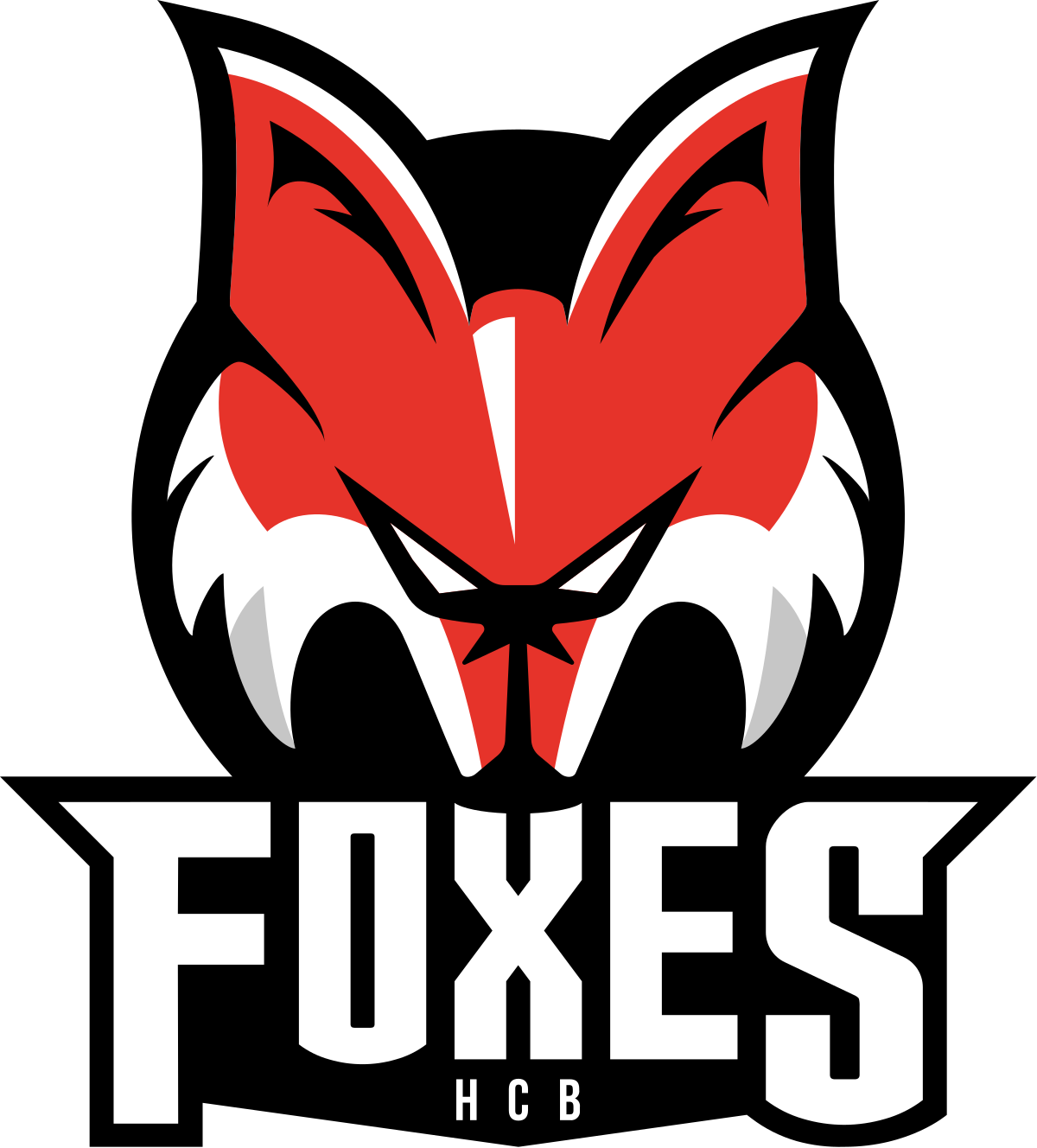 Hc Bolzano (1200x1328)