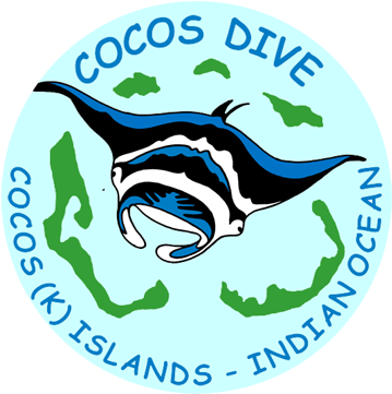 Dive-logo2 - Dive-logo2 (380x381)
