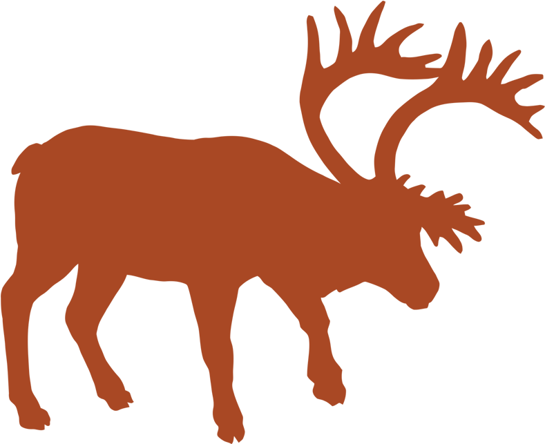Mountain Caribou - Illustration (800x800)